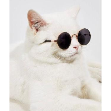 Imagem de Óculos pet e cat - Pet glasses