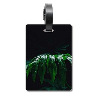 Imagem de Fotografia folhas de planta imagem natureza mala etiqueta cartão de bagagem pendurado Scutcheon etiqueta