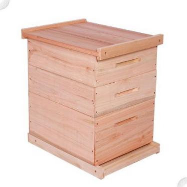 Imagem de Caixa De Abelha Padrão Langstroth Eucalipto Com 2 Melgueiras - Beethov