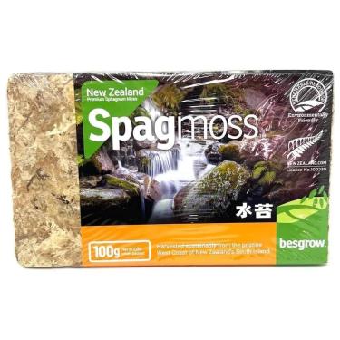 Imagem de besgrow Nova Zelândia Sphagnum Moss (100 gramas) - 8 litros após hidratado