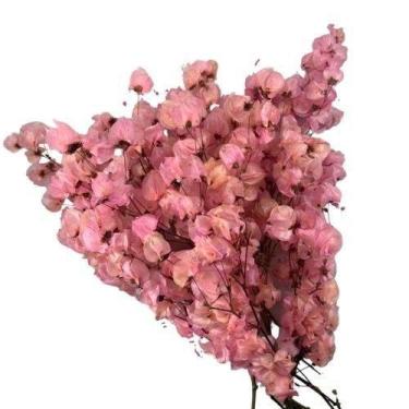Imagem de Kit de 10 bougainville - Flores Desidratadas - Buquê Arranjo Preço Flo