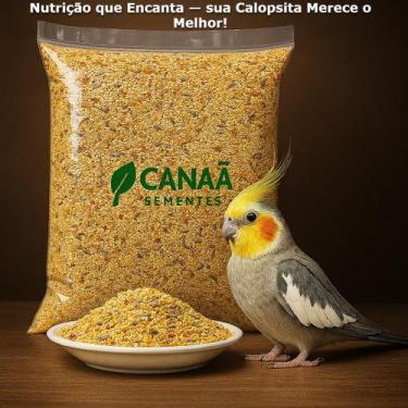 Imagem de Ração Mistura Para Calopsita Periquito Agapone Gourmet 10kg Animais Vi