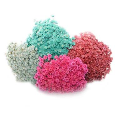 Imagem de 300 Sempre Viva Florzinha I Flores Desidratadas - Decoração Enfeite Se