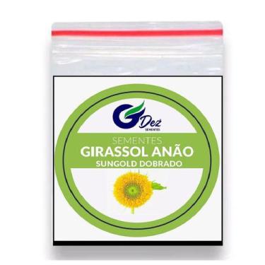 Imagem de 20 Sementes Girassol Anão Sungold Dobrado - ISLA