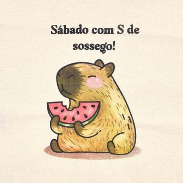 Imagem de Pano de Prato Capivara Extra - Estilotex - 70 x 45cm, SOSSEGO