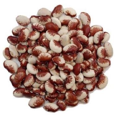 Imagem de Fava Rajada Vermelha (Pacote 1 kg)