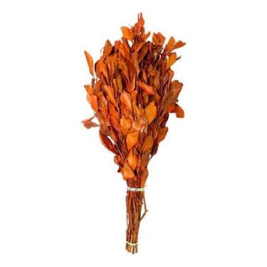 Imagem de Buque Folhagem Carne De Vaca Laranja Decoração Desidratado - FLORA FUL