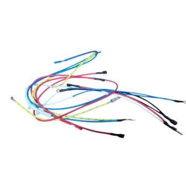 Imagem de Fiação interna  fritadeira electrolux eaf50 eaf51 a24898301