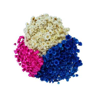 Imagem de Kit Sempre Viva 3 Cores - Pink, Azul e Branca - Pense Flores