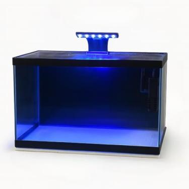 Imagem de Aquário de Peixes 20 Litros 40x20x25cm - Vidro 3mm Ideal para Peixes Ornamentais, Produto Já Montado, Prático para Casa ou Apartamento (20 c vinl bomba luminaria 110v,40x20x25)