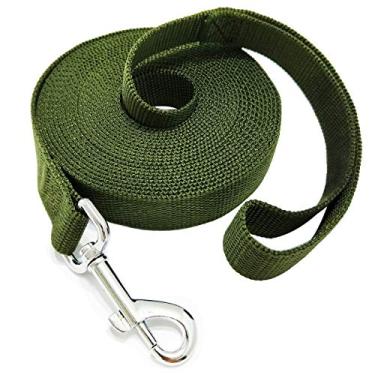 Imagem de TAIDA 20 pés 30 pés 40 pés 127 m Nylon Longo Treinamento Cachorro Coleira para Cães Pequenos Médio Grande, Longa Correia Cão/Puppy Chumbo para Obediência Treinamento de Lembrança, Acampamento ou Quintal, 1 polegada de larguraTaida 20 FOOT verde