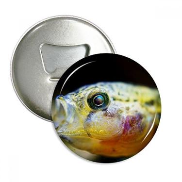 Imagem de Marine Organism Pequeno Abridor de Garrafa de Peixe Tropical Emblema Multifuncional