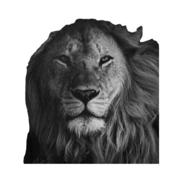 Imagem de Pôster De Canvas Com Citações Motivacionais Sobre Mentalidade De Leão 