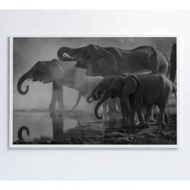 Imagem de Quadro Elefantes 60x40 Cm Adesivo Fotográfico