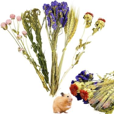 Imagem de PINVNBY Roupa de cama de hamster natural com flores e ervas, decoração de habitat, roupa de cama de porquinho-da-índia, hamster, sprays, acessórios para gaiola de hamster para porquinho-da-índia anão