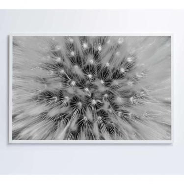Imagem de Quadro Dente De Leão Zoom 60x40 Cm Adesivo Fotográfico
