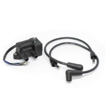 Imagem de Dle 200Cc Ignition Module