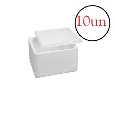 Imagem de Caixa Isopor Térmica 1kg Gelo Alimento Medicamento- Kit 10un