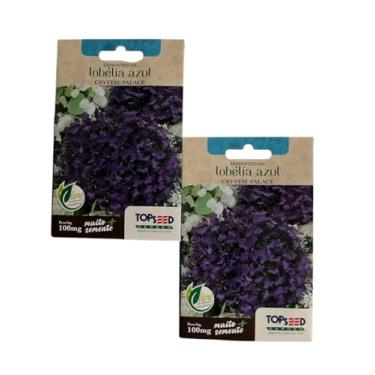 Imagem de 2X Sementes de Lobelia Azul Atrai Abelhas Jataí Flores Jardins (2)