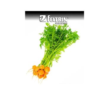 Imagem de Semente Cenoura Roterdã (redonda) 700mg - Feltrin