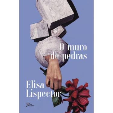 Imagem de O muro de pedras