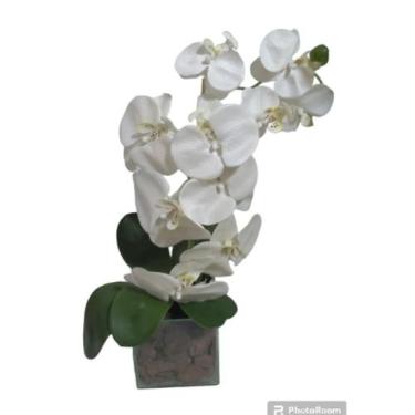 Imagem de Arranjos de orquídeas cor - MdM 