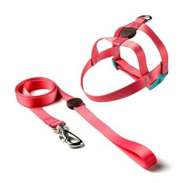 Imagem de Peitoral e Guia Toh Tradicional Fuji para Cães - Tamanho P