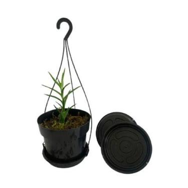 Imagem de Prato para vasos - VF16 - VF vaso forte