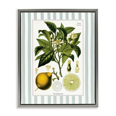 Imagem de Stupell Industries Desenho de arte de parede em tela flutuante cinza com listras verdes de planta de limão por Lettered and Lined, 53 x 43 cm
