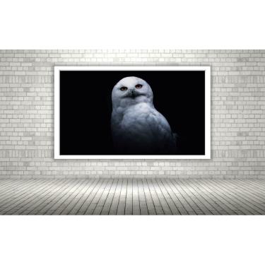 Imagem de Quadro Decorativo Coruja Branca Neve  - 70x50cm