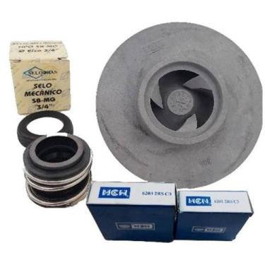 Imagem de Rotor 803 1/4cv Com Selo E Rolamentos 6201 E 6203 - DANCOR