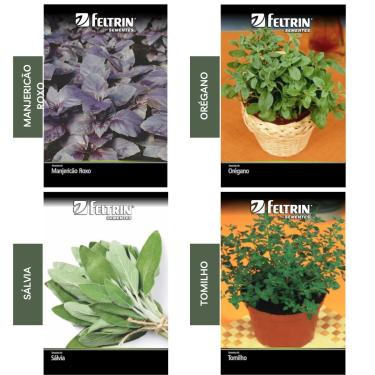 Imagem de Kit 4 Sementes Temperos Horta Em Casa (Orégano, Tomilho, Sálvia, Manjericão Roxo)
