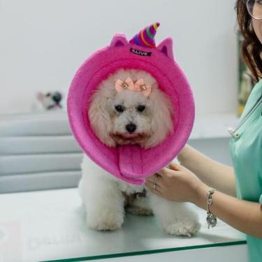 Imagem de Colar Elizabetano Cone Pet Unicórnio - B.live in Pets
