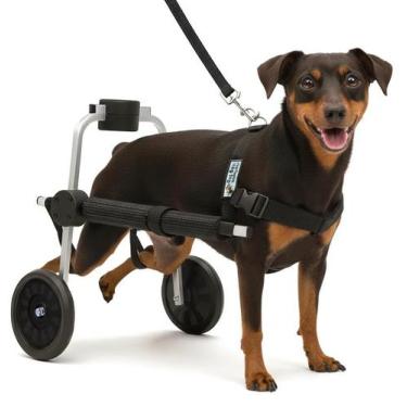 Imagem de Cadeira 2 Rodas Tamanho MICRO Cachorro Traseira Regulável Deficiente P