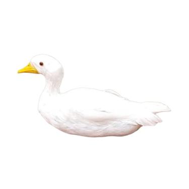 Imagem de Stgfyxgs Modelo de Simulação de Pato, Suporte de Pena Artificial, Figura de Pato de Simulação Realista para Pátio, Jardim, Decoração de Cozinha, Branco, Tamanho real
