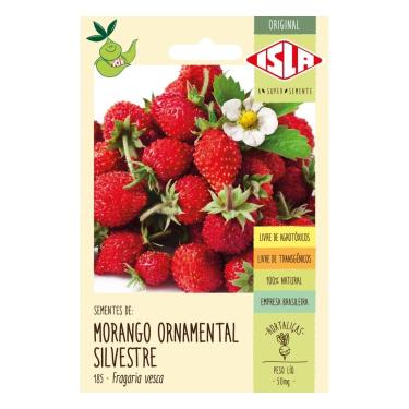 Imagem de Kit Semente de Morango Ornamental Silvestre 0,05g + Semente de Cenoura Brasília 0,3g