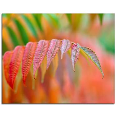 Imagem de Pôster de vinagre de sumagre arte de parede para casa 1 peça decorações não ramificadas 25,4 x 20,3 cm