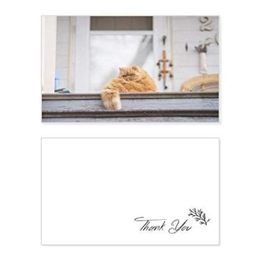 Imagem de Fotografia de gato Fat Garfield animal cartão de agradecimento aniversário aniversário saudação casamento agradecimento