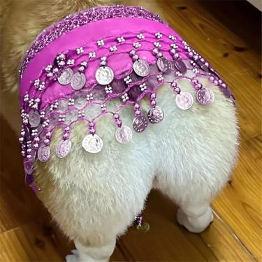Imagem de CHOWONE Saia de dança do ventre para cães, cortina de quadril com corrente de cintura, roupas para cães Corgi estilo dança do ventre com lantejoulas, roupas de dança para cães de cachorro tremendo