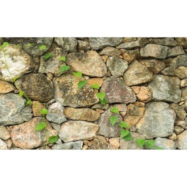 Imagem de Papel de parede de pedra com fundo de aquário de pedra de vidro rochoso terrário de vidro rochoso papel de parede de aquário rochoso suporte de terrário natureza pedra tanque de peixes pano de fundo