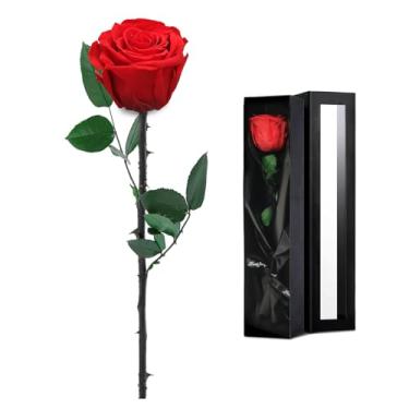 Imagem de Presentes de flores de rosas preservadas para mulheres – Flores de rosas de verdade para mãe, esposa, avó ou namorada – Ideal para o dia das mães, aniversário ou aniversário
