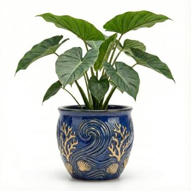 Imagem de Genérico, Vaso Quadrado Estriado, Uso Interno/Externo, Tamanho M, Verde Musgo, Polietileno, Decorativo, Quadrado, Chão, Vaso para Plantas, 11x12x15 cm