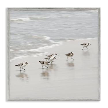 Imagem de Stupell Industries Pássaros Sandpiper Scurrying Gray Framed Giclee Art Design por Natalie Carpentieri, 12 x 12