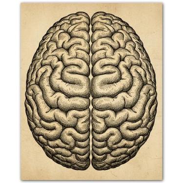 Imagem de ZUKIY Conjunto de esboços de anatomia vintage - impressões sem moldura 20 x 25 cm - Arte de parede de anatomia - Pôster humano - Decoração de parede médica - Arte científica - Pôster da fase da lua