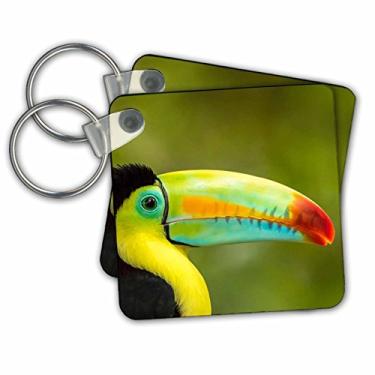 Imagem de 3dRose Chaveiro tucano com bico de quilha da América Central, Costa Rica (kc_258555_1)