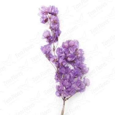 Imagem de Bougainvile Desidratado Buque Flores Secas - Pense Flores, Lilás
