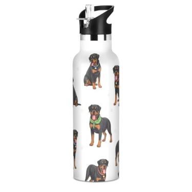 Imagem de Garrafa de água isolada para adolescentes de 590 ml com tampa de palha, linda garrafa de água escolar de aço inoxidável com pega, copos infantis à prova de vazamento