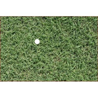 Imagem de Sementes de Grama Bermudas de 1 Kg jardim - Realpecuaria