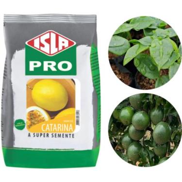 Imagem de Sementes Maracujá Catarina / Scs 437 / Epagri / 100 G / 4.000 UNIDADES