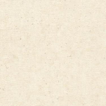 Imagem de Papel de Parede Concrete Concreto Bege 520835-C